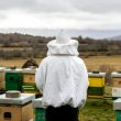 A beekeeper with their beehives