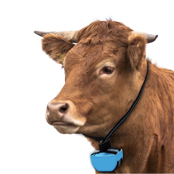IoT based livestock GPS tracker