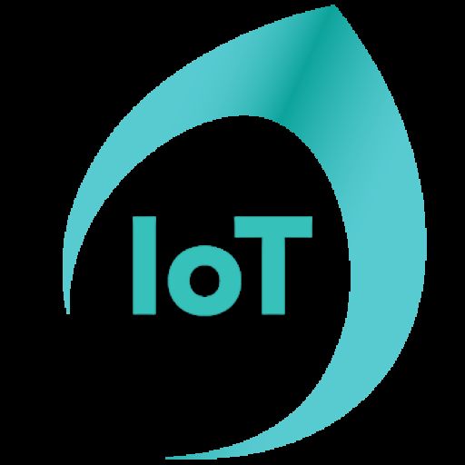 IoT Software Development