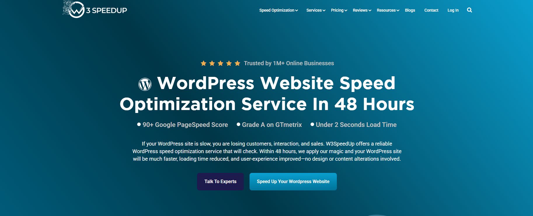 WordPress Speed Optimization Service