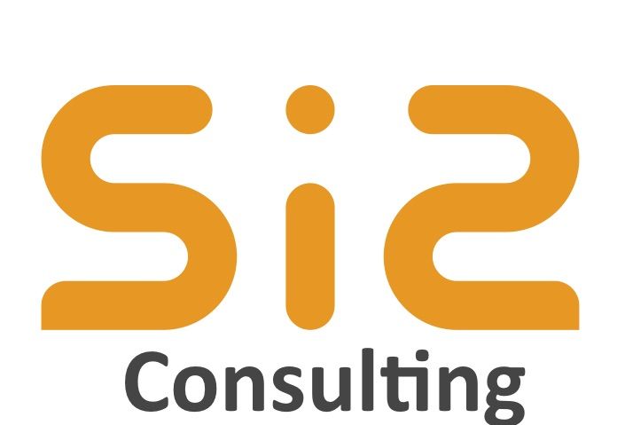Si2 Consulting Solutions